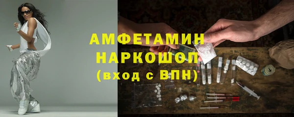 сатива Абаза
