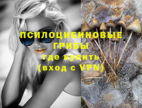 сатива Абаза