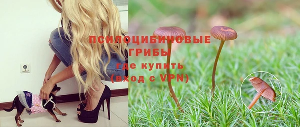 сатива Абаза