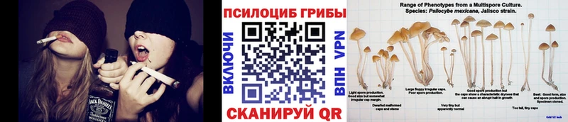 kraken ссылки  Абинск  Псилоцибиновые грибы мухоморы 